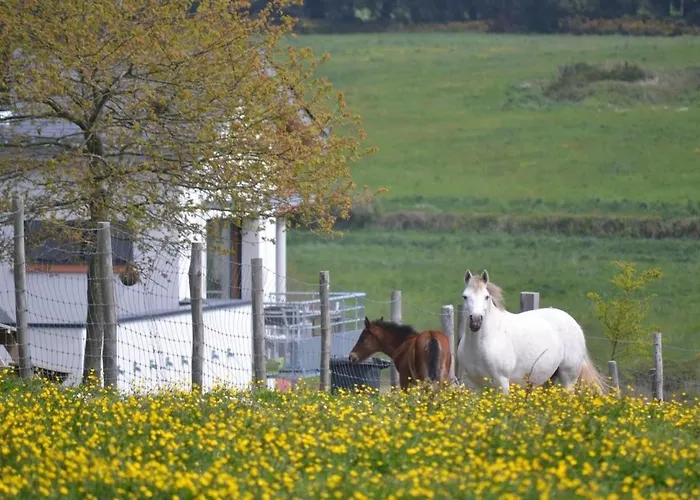 Gîtes&Tiny houses Les Hauts de Toulvern